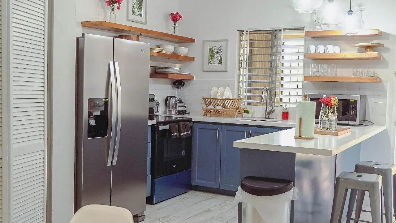 Luxury 2 Bedroom 2 Bathroom City Oasis Kingston