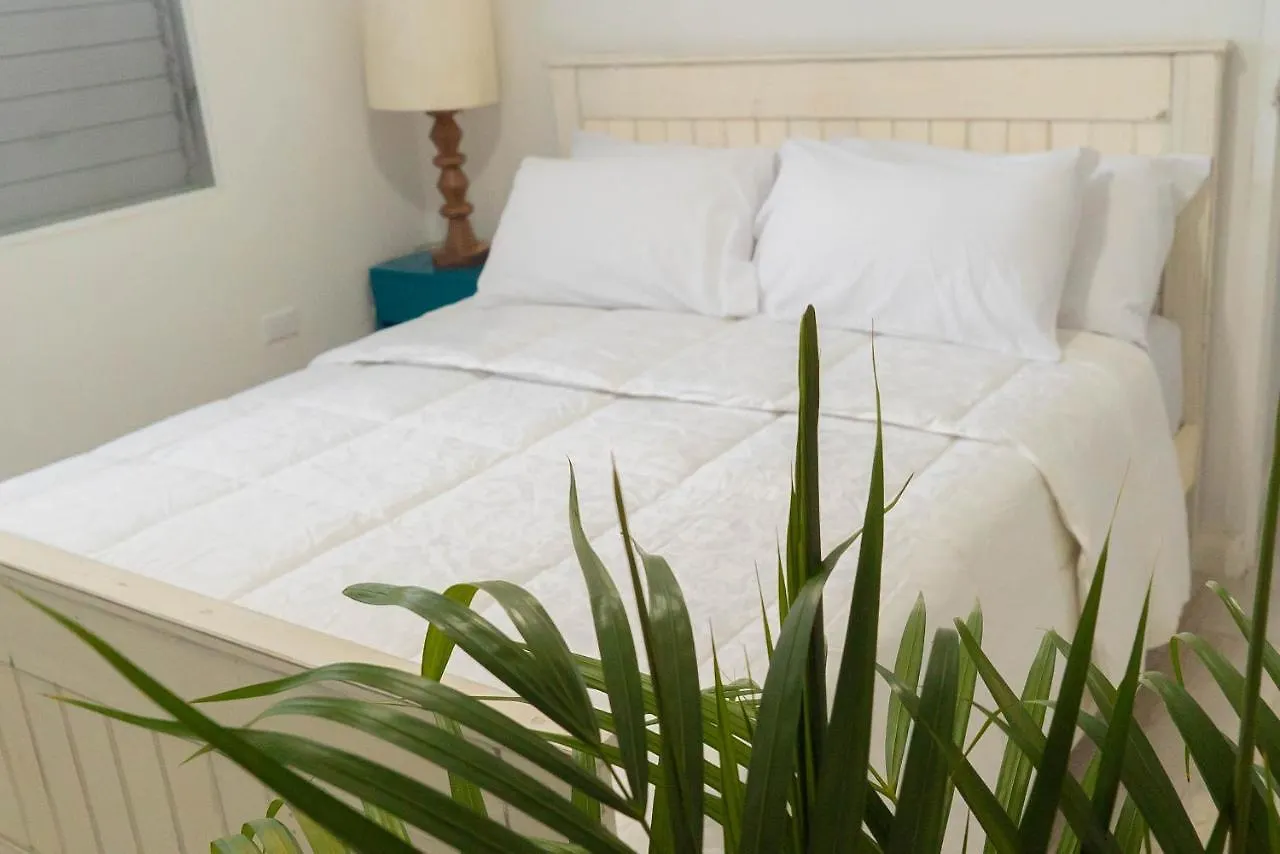 Apartment Luxury 2 Bedroom 2 Bathroom City Oasis Kingston